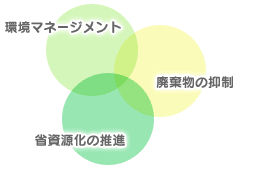 RXg팸